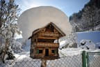 KAM-001604-Vogelhaus-mit-Schneehaube-Fotograf-Hannes-Dabernig