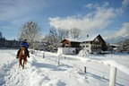 KAM-001606-Reiter-im-Lahntal-bei-Woergl-Fotograf-Hannes-Dabernig